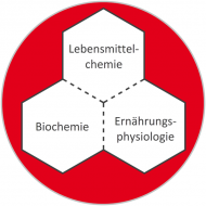 Stellenangebote